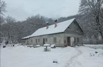 Eladó Zebegényi tanya hirdetés (94263328)