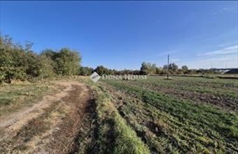 Eladó Kecskeméti családi ház hirdetés (33238373)