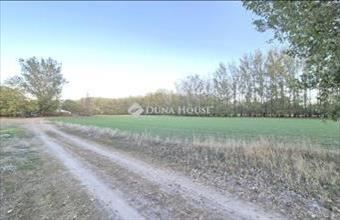 Eladó Kecskeméti külterületi telek hirdetés (17189178)