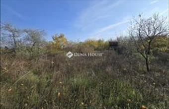 Eladó Szabadbattyáni külterületi telek hirdetés (56278844)