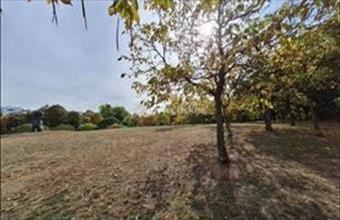 Eladó Budapest XI. kerületi tégla lakás hirdetés (54443433)