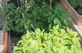 Eladó Pilisjászfalui ikerház hirdetés (65575573)