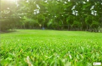 Eladó Ráckevei egyéb telek hirdetés (87734156)