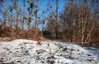 Eladó Zalacsányi lakóövezeti telek hirdetés (83244434)