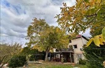 Eladó Ürömi családi ház hirdetés (26239383)