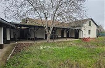 Eladó Cserkeszőlői hétvégi ház hirdetés (27499288)