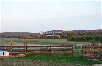 Eladó Ugodi egyéb mezőgazdasági ingatlan hirdetés (35398129)