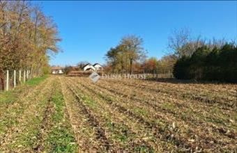 Eladó Tenki lakóövezeti telek hirdetés (66736853)