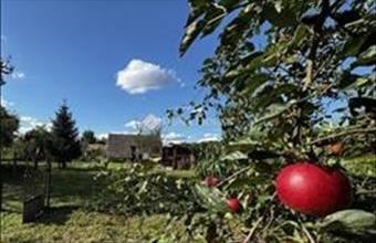 Eladó Vasszentmihályi családi ház hirdetés (74783487)