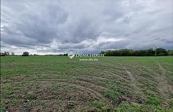 Eladó Kalocsai egyéb mezőgazdasági ingatlan hirdetés (14784334)