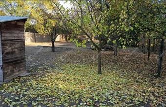 Eladó Szegedi külterületi telek hirdetés (52436357)