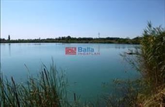 Eladó Délegyházai egyéb telek hirdetés (53623388)