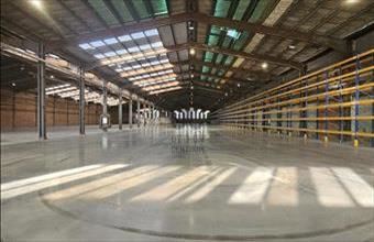 Kiadó Őrbottyáni raktár hirdetés (79449649)