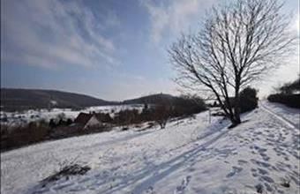 Eladó Felsőörsi egyéb mezőgazdasági ingatlan hirdetés (39854279)