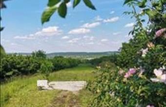 Eladó Soproni lakóövezeti telek hirdetés (15838686)