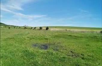 Eladó Harkai külterületi telek hirdetés (88257386)