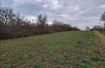 Eladó Balatonalmádi zártkert hirdetés (73946493)