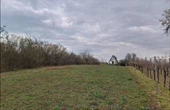 Eladó Balatonalmádi zártkert hirdetés (73946493)