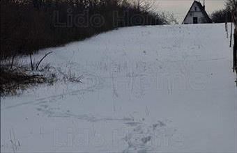 Eladó Balatonalmádi zártkert hirdetés (73946493)