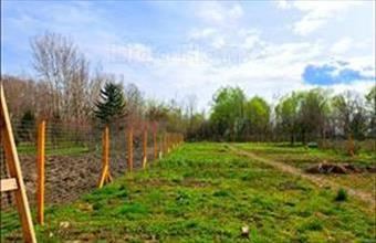 Eladó Rábapordányi lakóövezeti telek hirdetés (25984181)