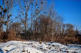 Eladó Zalacsányi lakóövezeti telek hirdetés (91454462)