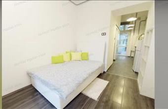 Kiadó Budapest VII. kerületi tégla lakás hirdetés (67353325)