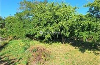 Eladó Szadai lakóövezeti telek hirdetés (35437428)