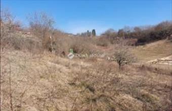 Eladó Váci lakóövezeti telek hirdetés (39235983)