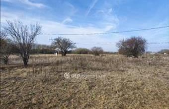 Eladó Szegedi külterületi telek hirdetés (42687641)