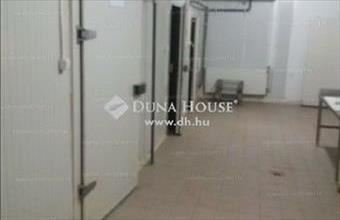 Eladó Inárcsi egyéb ipari ingatlan hirdetés (16348335)