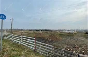 Eladó Algyői egyéb telek hirdetés (38724355)