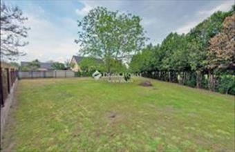 Eladó Szalkszentmártoni lakóövezeti telek hirdetés (65434474)