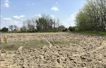 Eladó Lajosmizsei egyéb telek hirdetés (41973477)