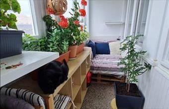 Eladó Budapest VIII. kerületi csúsztatott zsalus lakás hirdetés (54655454)