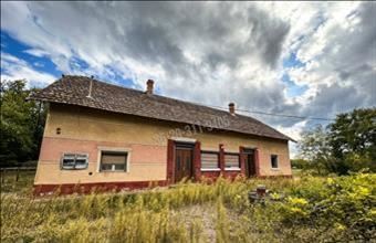 Eladó Ásotthalomi tanya hirdetés (64966838)