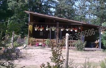 Eladó Lajosmizsei tanya hirdetés (62412787)