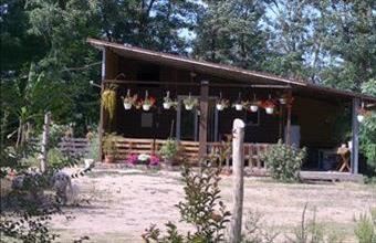 Eladó Lajosmizsei tanya hirdetés (62412787)