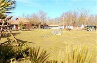 Eladó Kocséri tanya hirdetés (52976569)