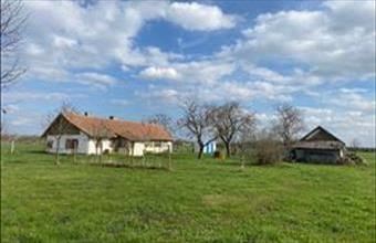 Eladó Békéscsabai tanya hirdetés (43533859)