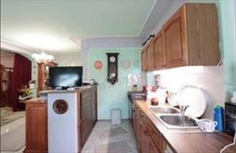 Eladó Székkutasi tanya hirdetés (25698762)