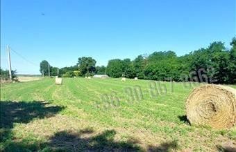 Eladó Solti tanya hirdetés (68757389)