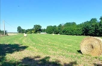 Eladó Solti tanya hirdetés (68757389)