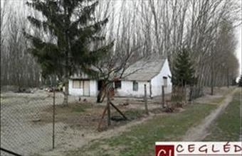 Eladó Csemői tanya hirdetés (77243374)