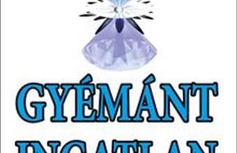 Eladó Salgótarjáni lakóövezeti telek hirdetés (59793196)