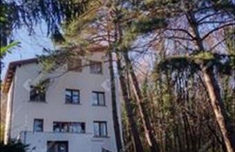 Eladó Soproni családi ház hirdetés (63432342)