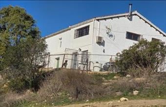 Eladó Spanyolországi tanya hirdetés (16974542)