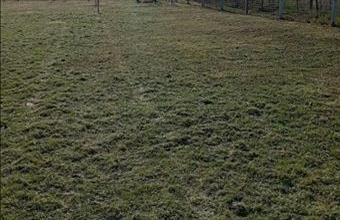 Eladó Látrányi lakóövezeti telek hirdetés (51493919)