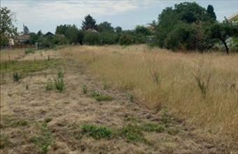 Eladó Szolnoki lakóövezeti telek hirdetés (24234234)