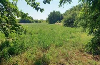 Eladó Tiszaföldvári lakóövezeti telek hirdetés (53776314)