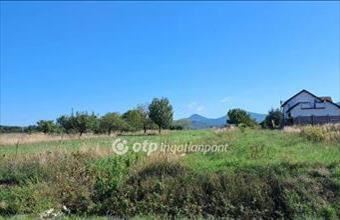 Eladó Pásztói lakóövezeti telek hirdetés (74794999)